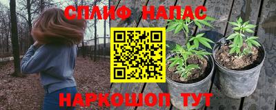 твердый Коммунар