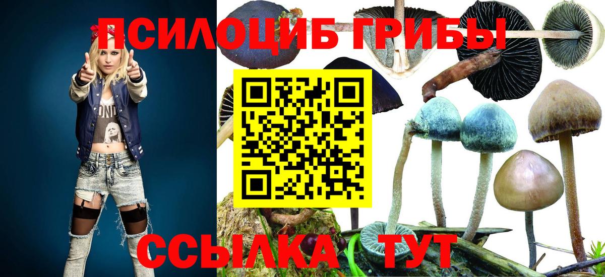 Конопля  Кокаин  Вход с VPN  Изобильный  Цена  Меф МЯУ МЯУ  Меф кристаллы  ГАШИШ  APVP СОЛЬ кристаллы 