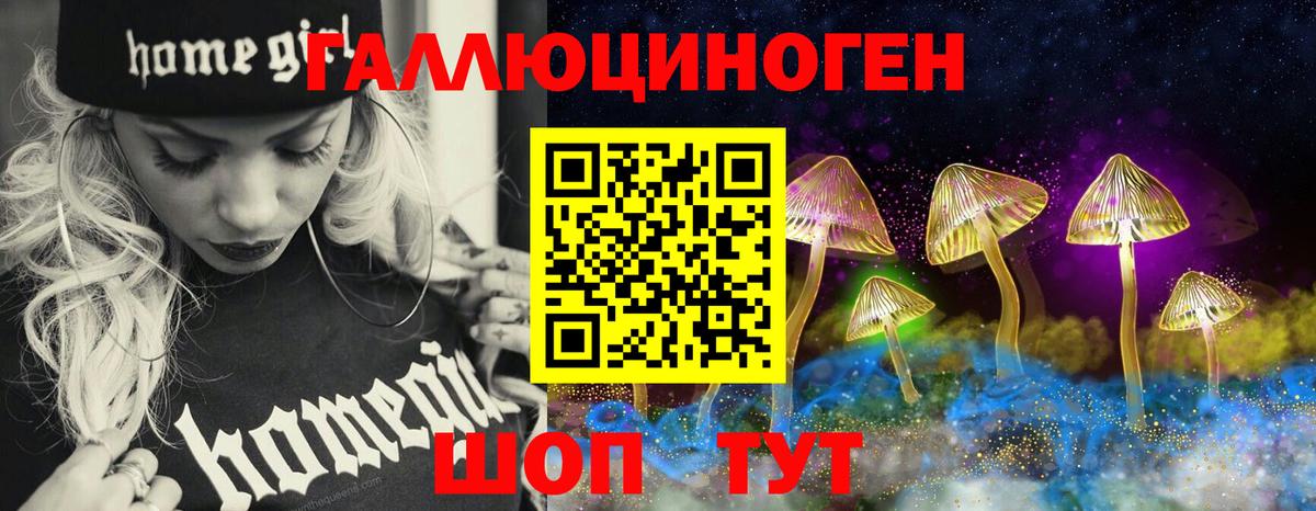 Галлюциногенные грибы Magic Shrooms  Вход с VPN  Псилоцибиновые грибы Magic Shrooms  Изобильный 