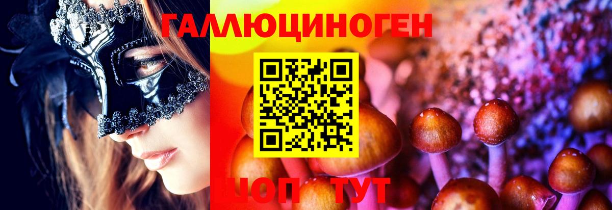 Галлюциногенные грибы Psilocybine cubensis Изобильный